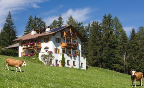 Apartments Stroblhof Ortisei
